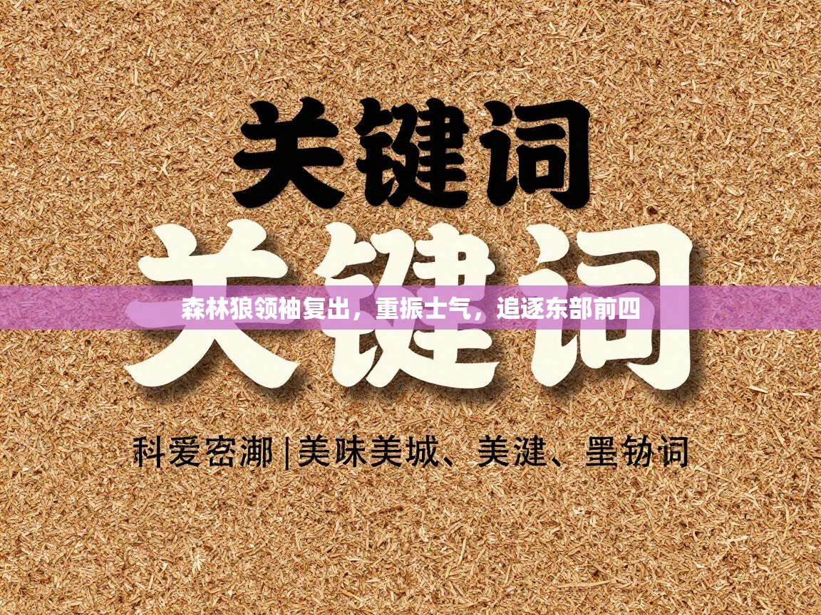 森林狼领袖复出，重振士气，追逐东部前四  第1张