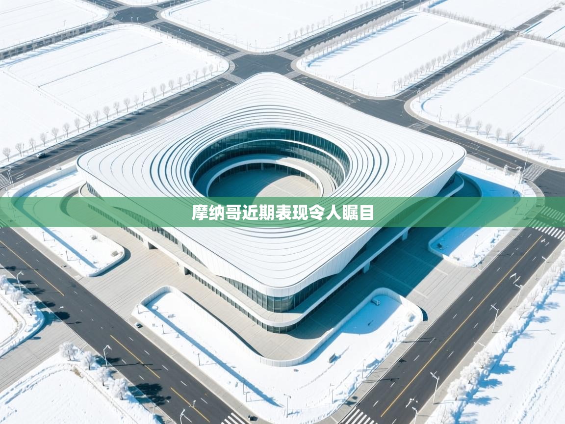 摩纳哥近期表现令人瞩目  第2张